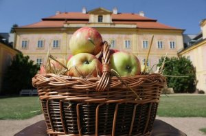 Jablečný den na zámku Krásný dvůr u Žatce