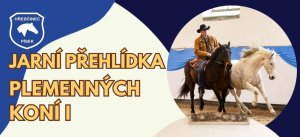 Jarní přehlídka plemenných koní - Zemský hřebčinec Písek 