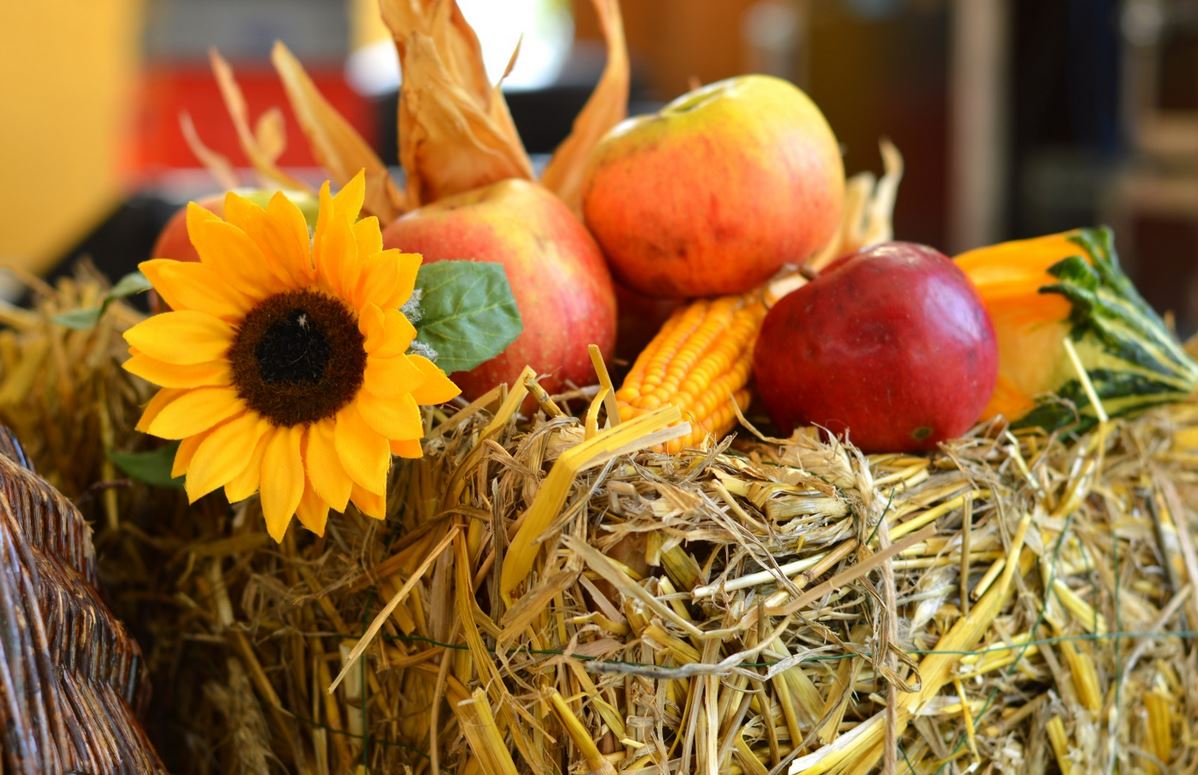 Hody s plody podzimu v Borovanech