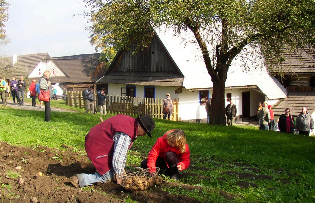 Bramborová sobota ve skanzenu na Veselém Kopci na Vysočině